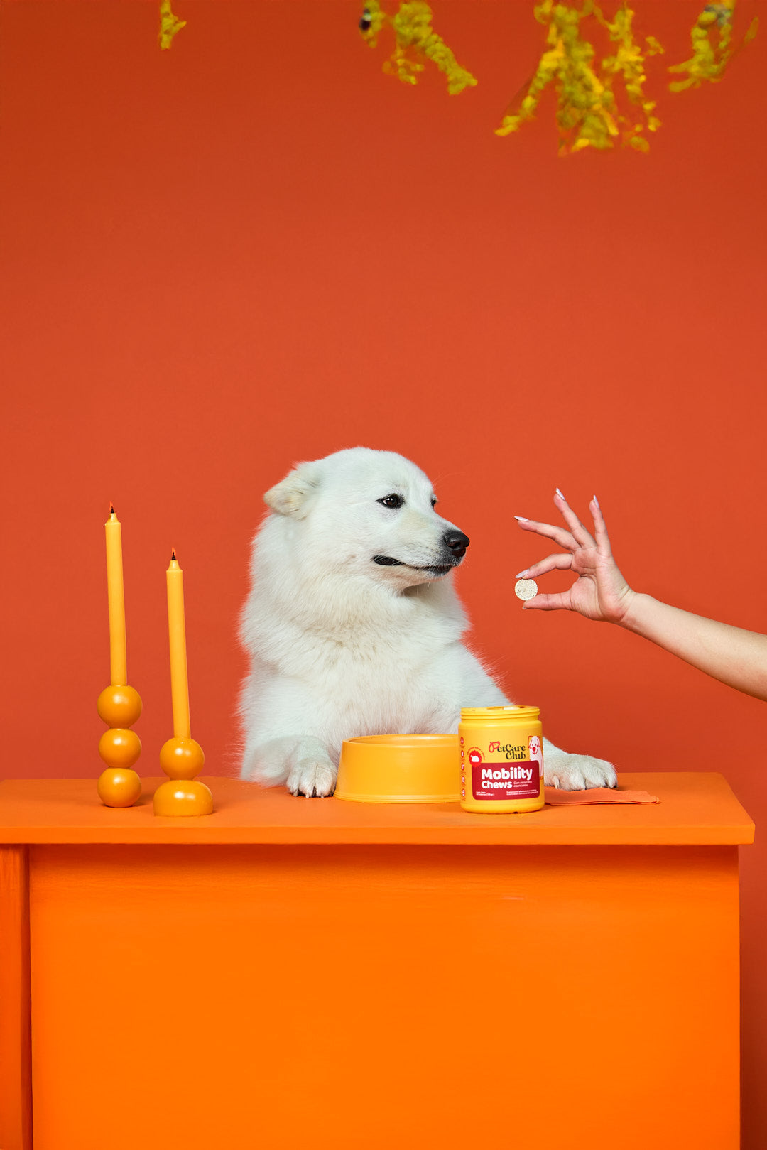 A single green leaf against a white background.