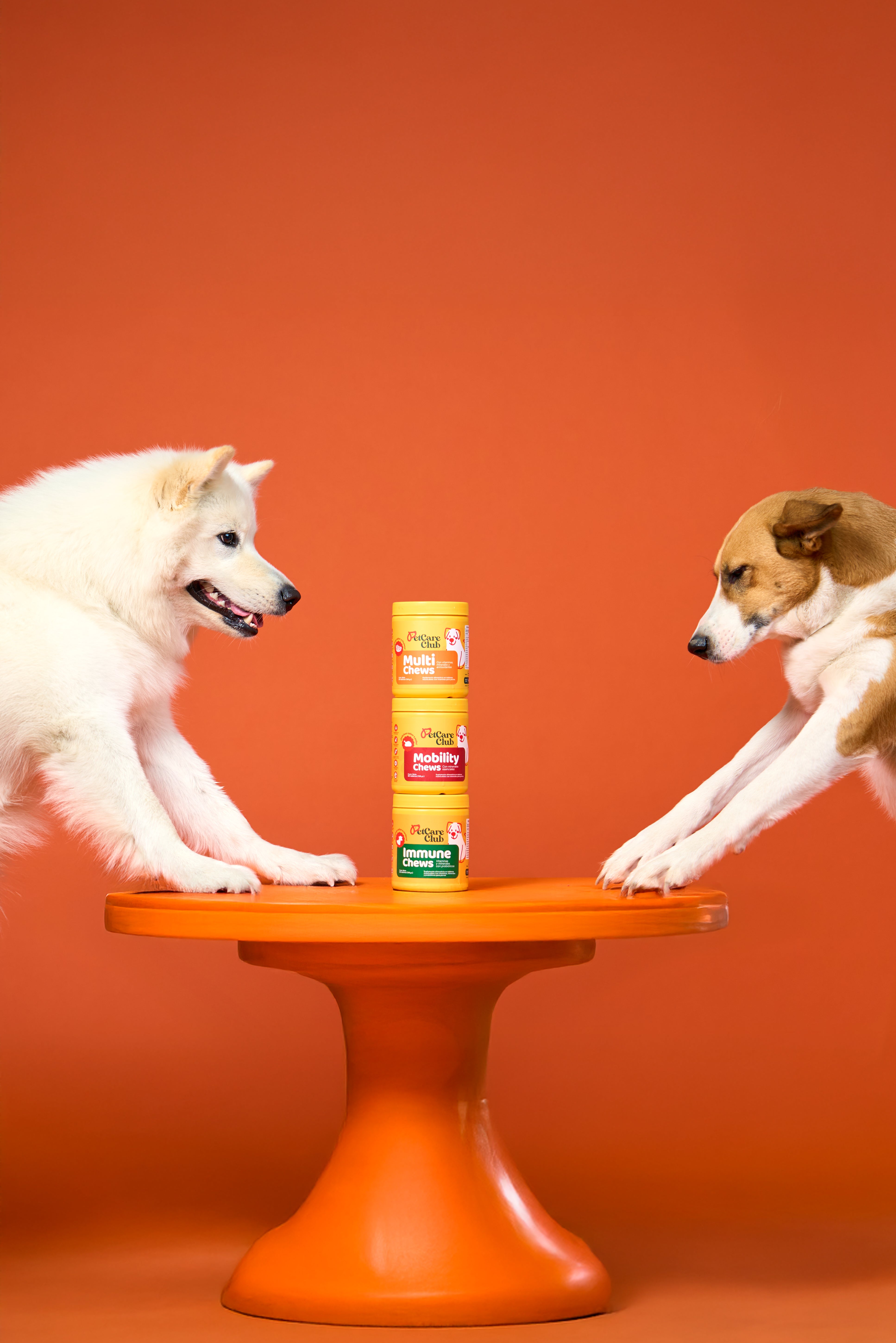 A single green leaf against a white background.
