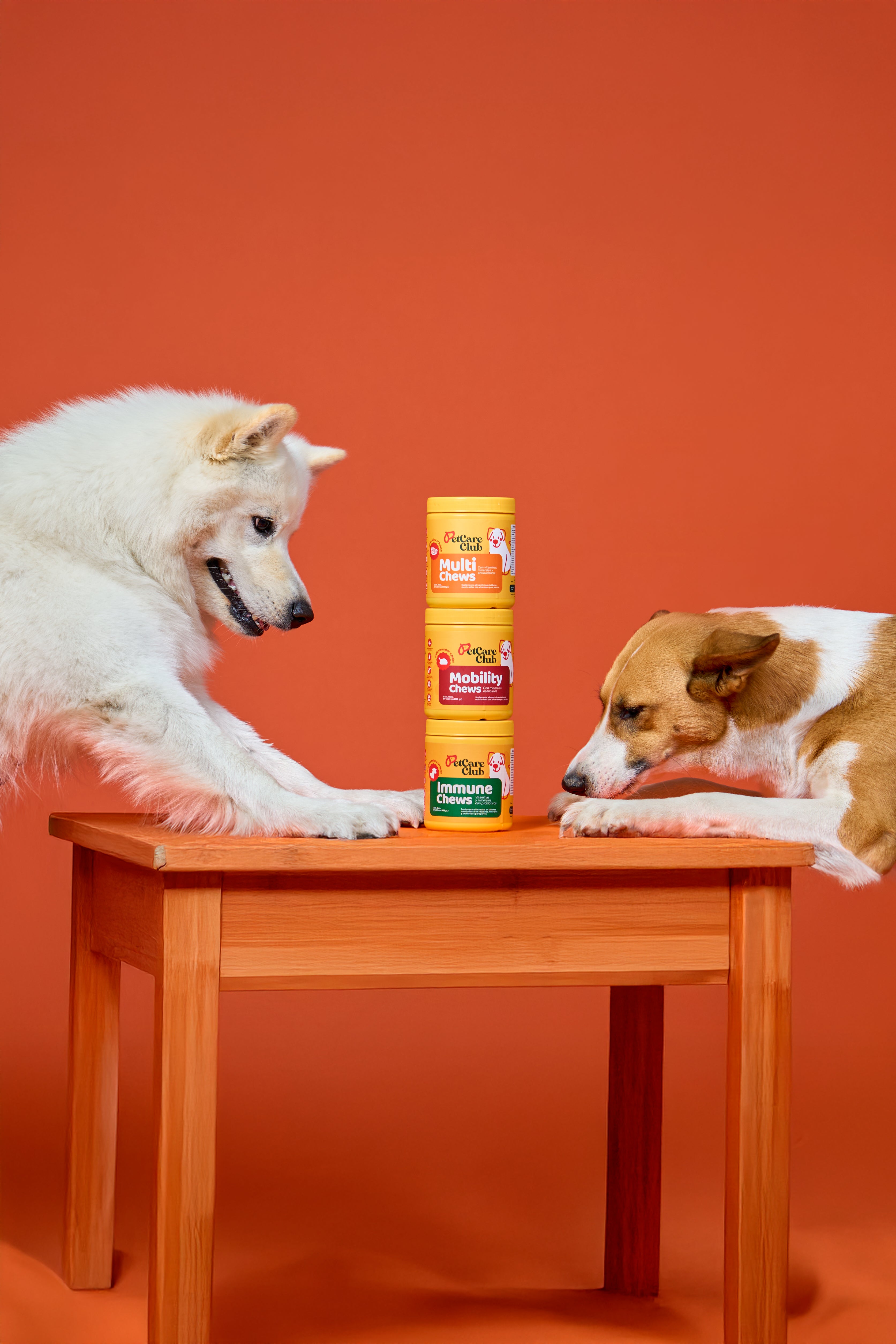 A single green leaf against a white background.