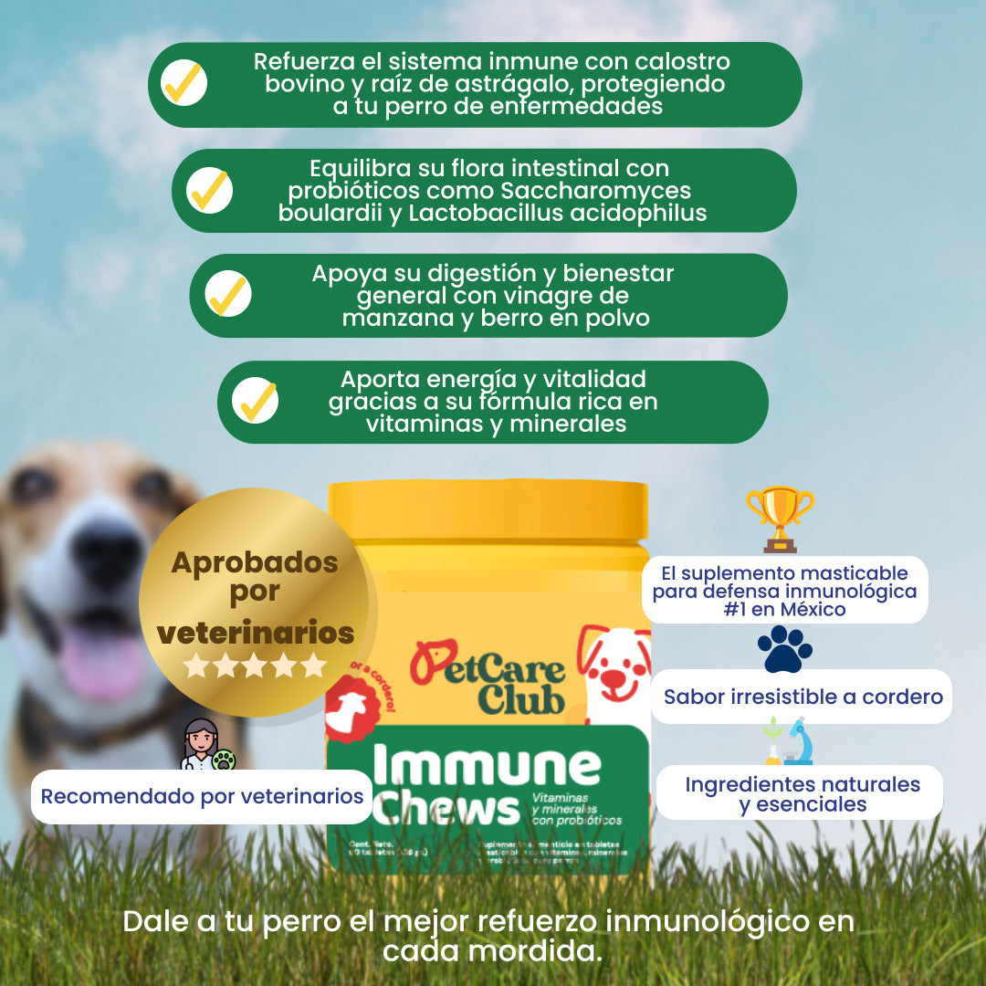 A single green leaf against a white background.