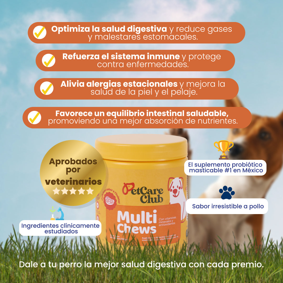 A single green leaf against a white background.