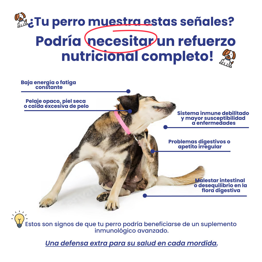 A single green leaf against a white background.