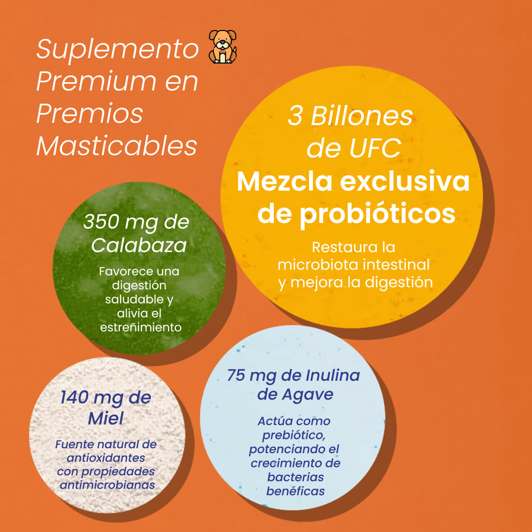 A single green leaf against a white background.