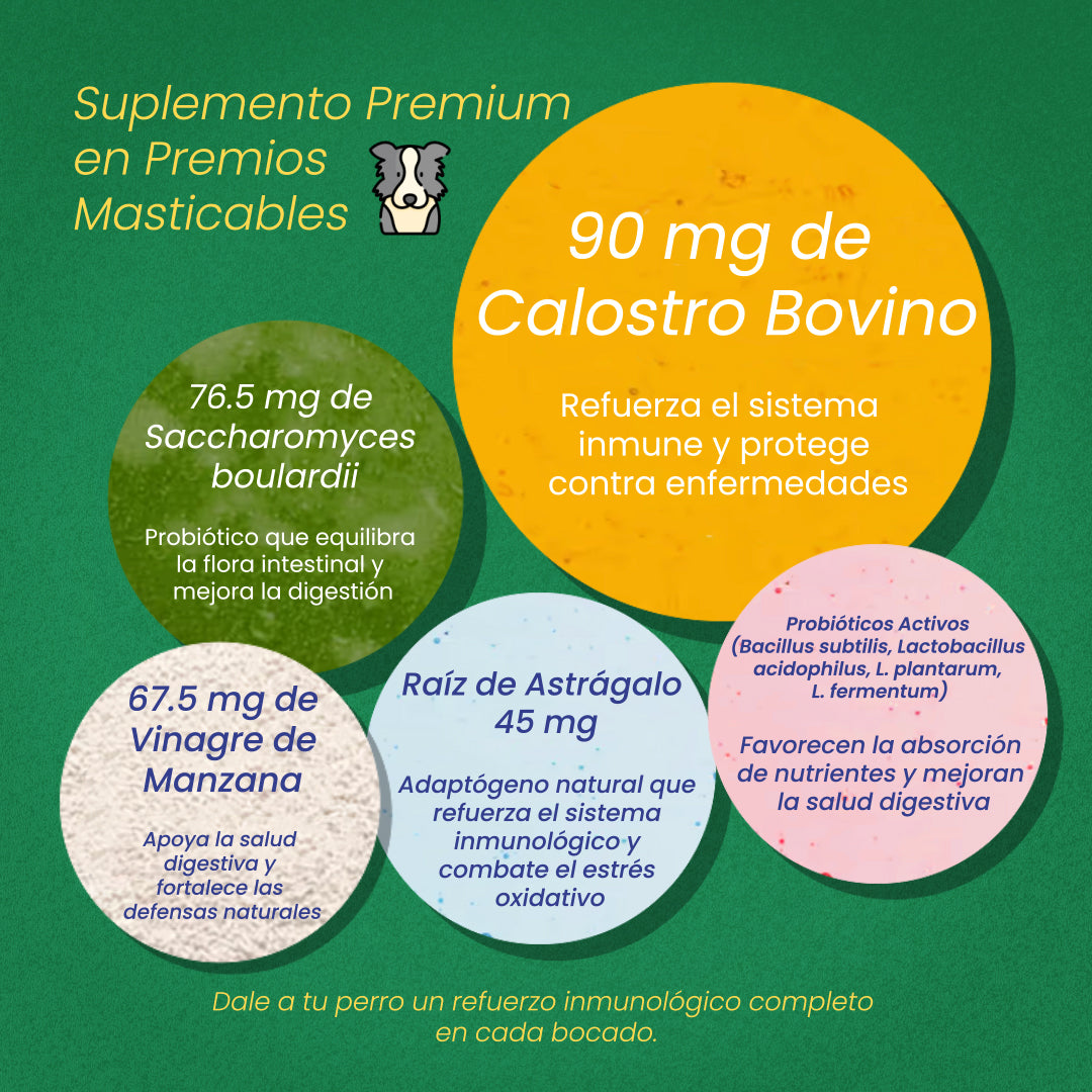 A single green leaf against a white background.