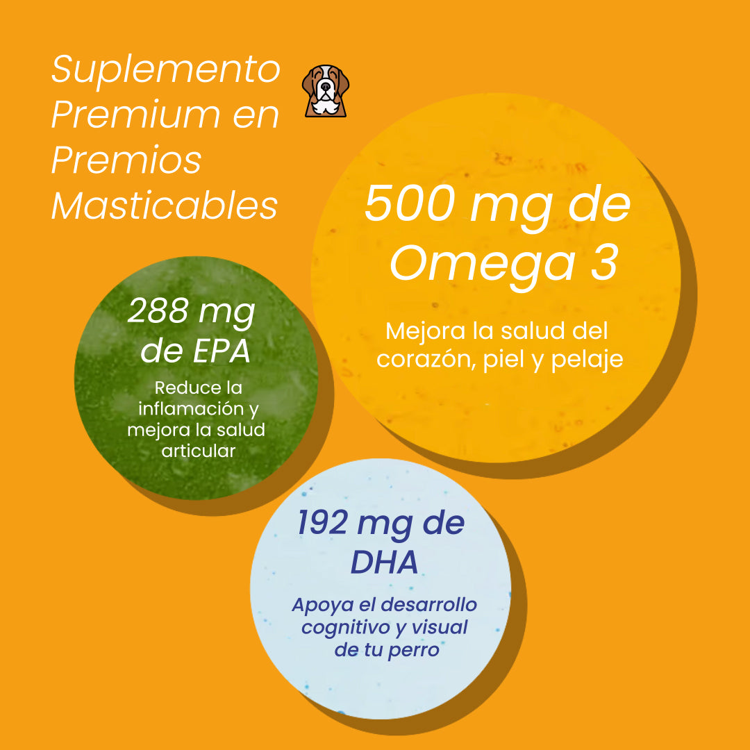 A single green leaf against a white background.