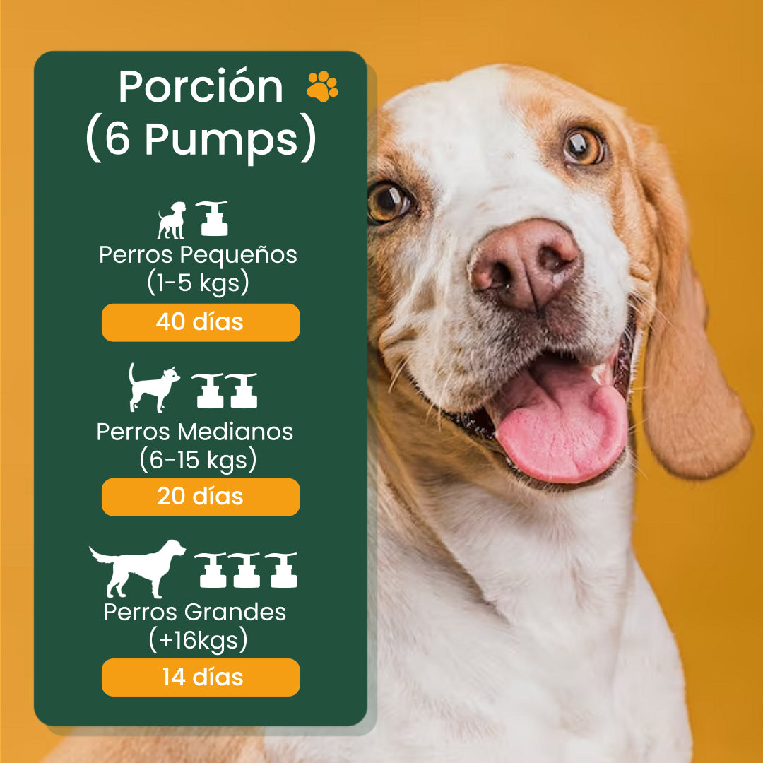 A single green leaf against a white background.