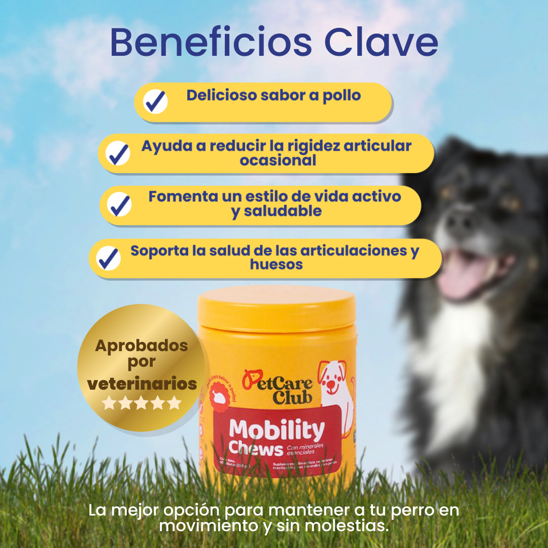 Mobility Chews – Soporte Articular para Perros