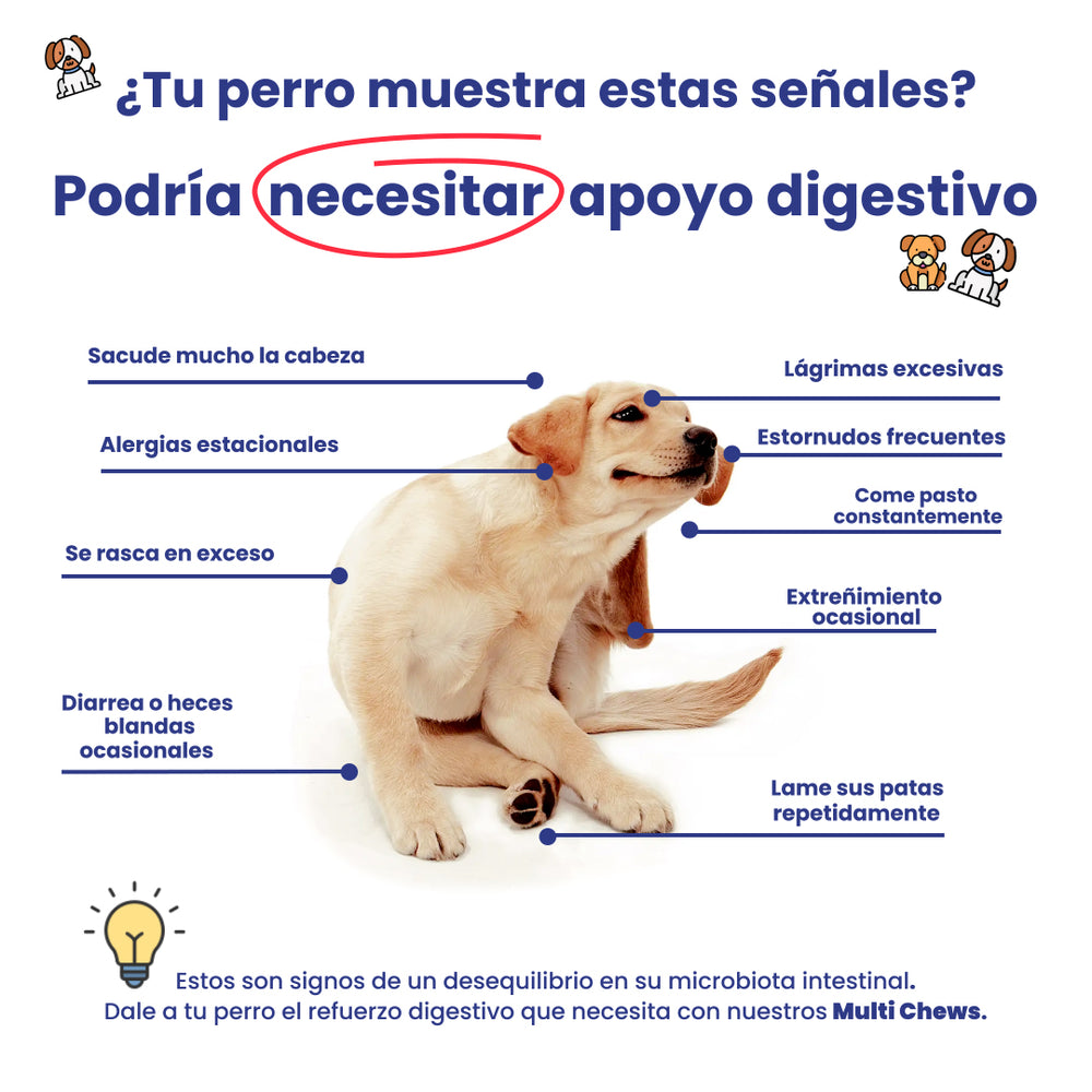 Multi Chews - Multivitamínico para Perros