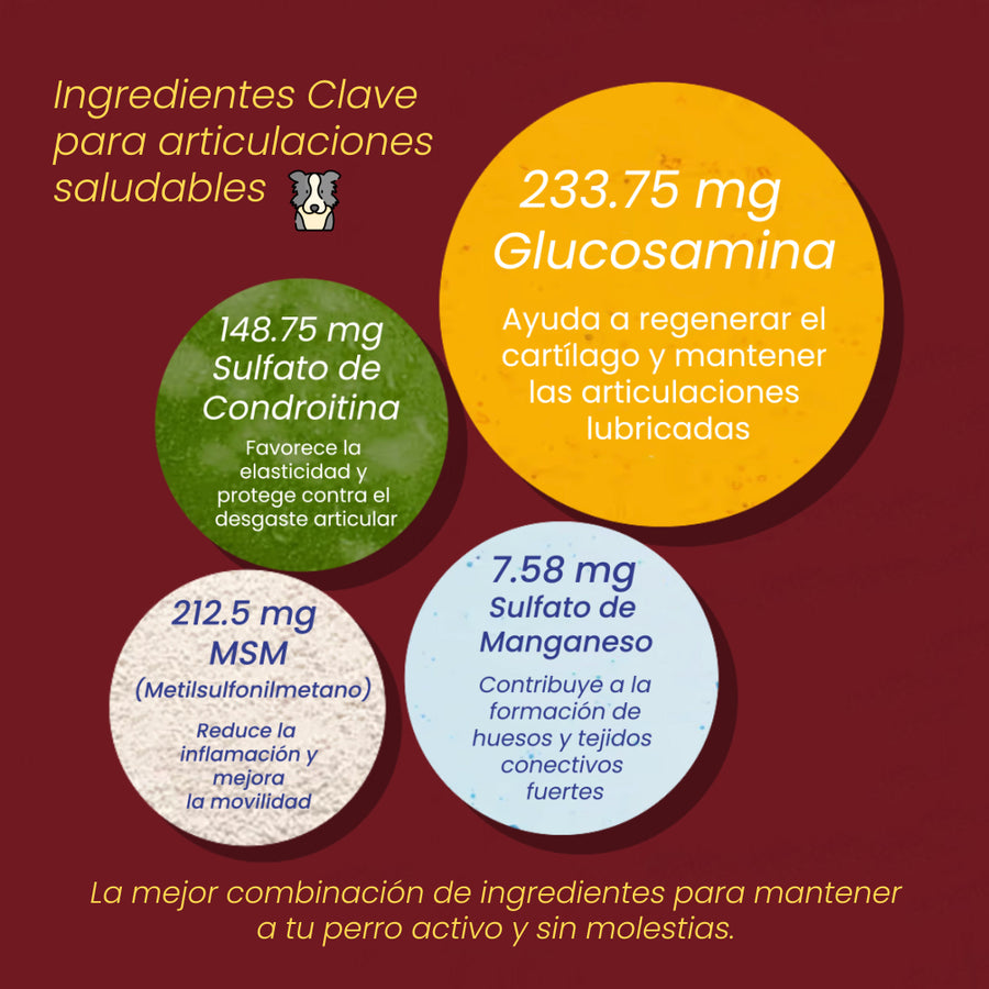 Ingredientes clave de Mobility Chews
