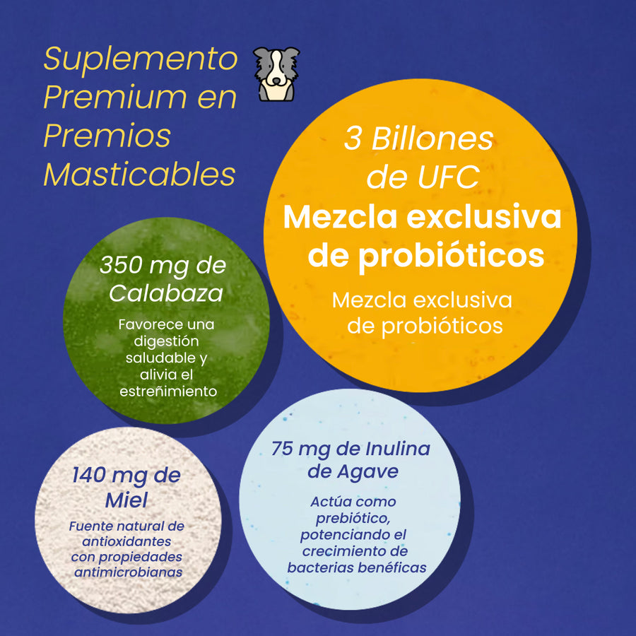 Señales de que tu perro necesita probióticos