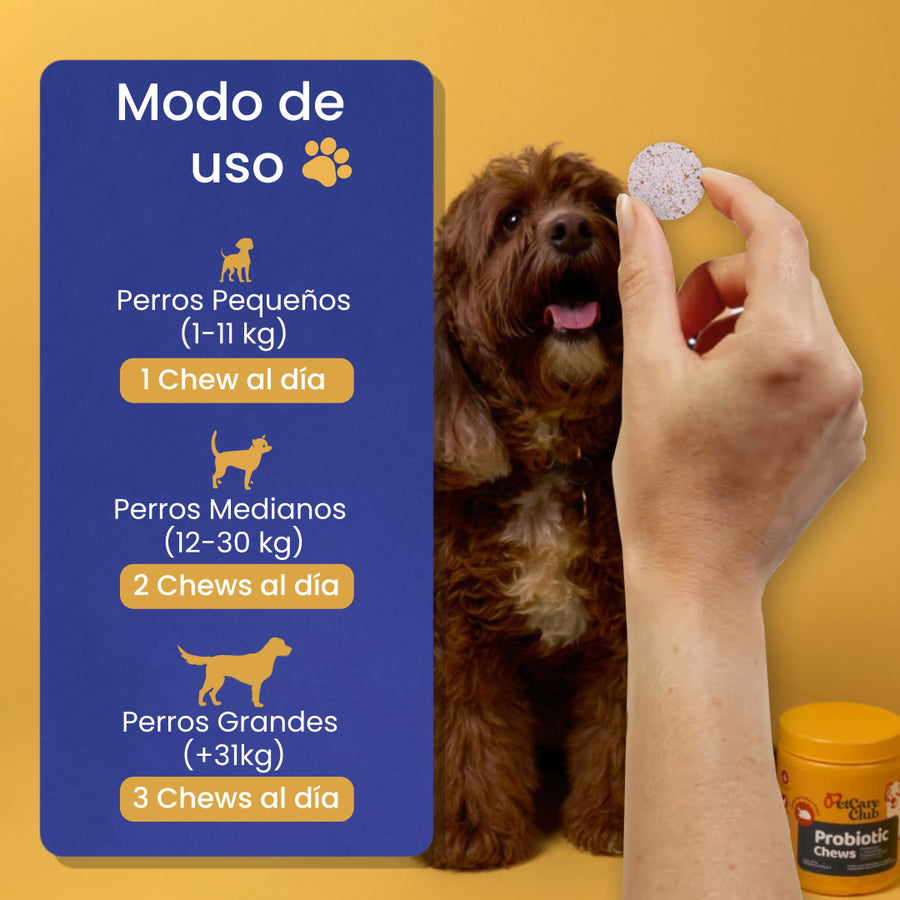 Ingredientes de Probiotic Chews
