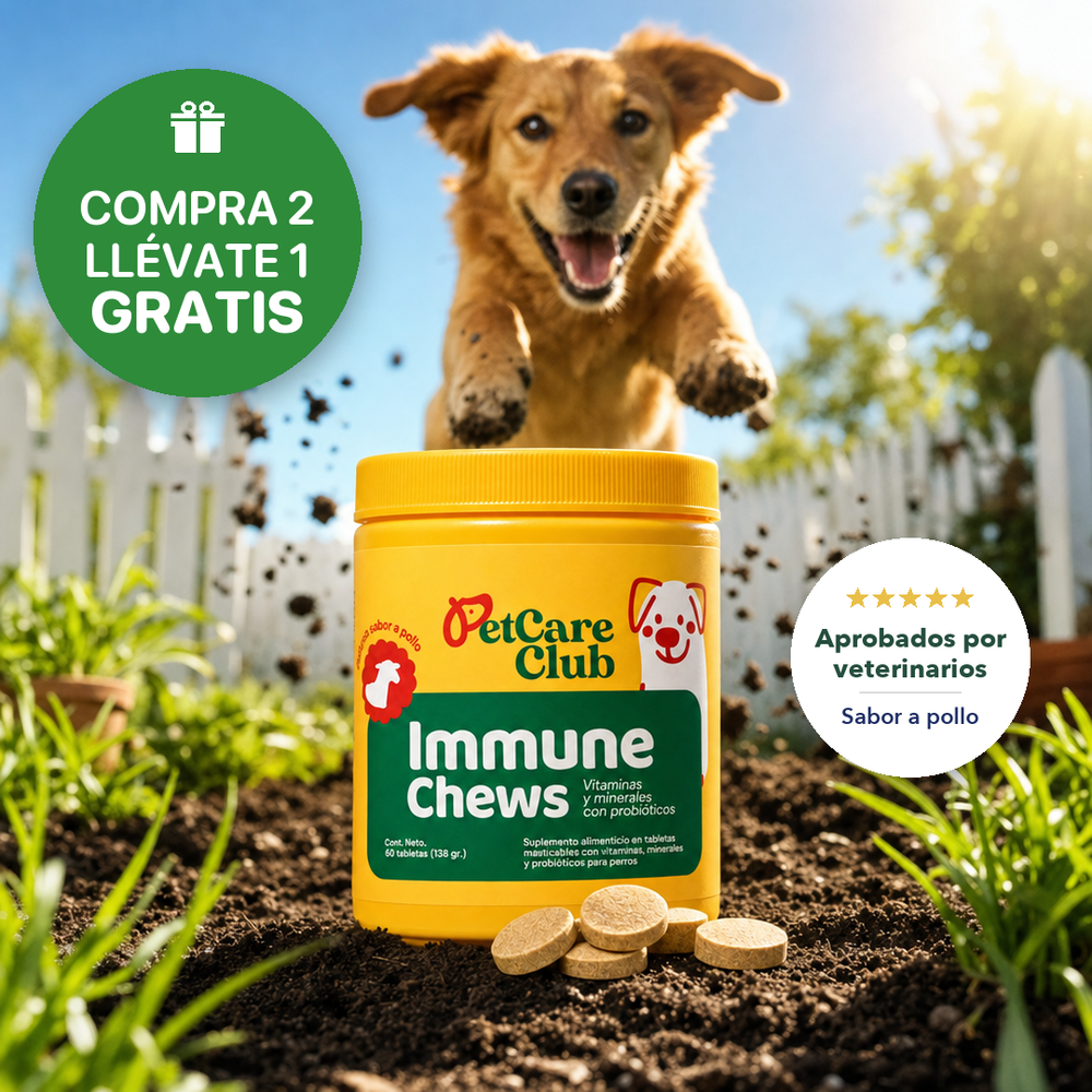 Immune Chew