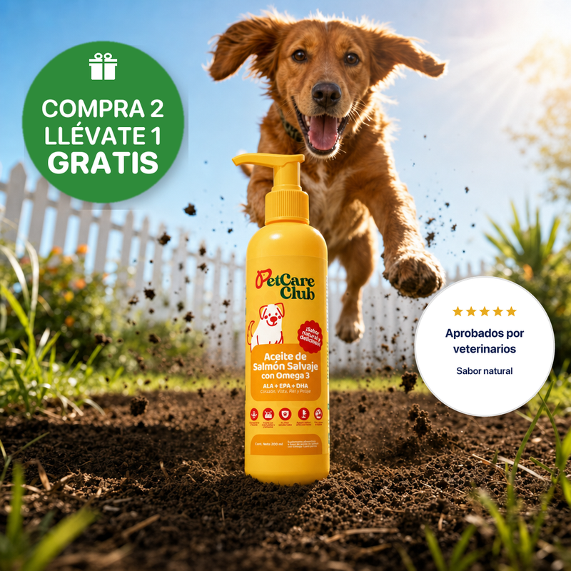 Aceite de Salmón - Omega 3