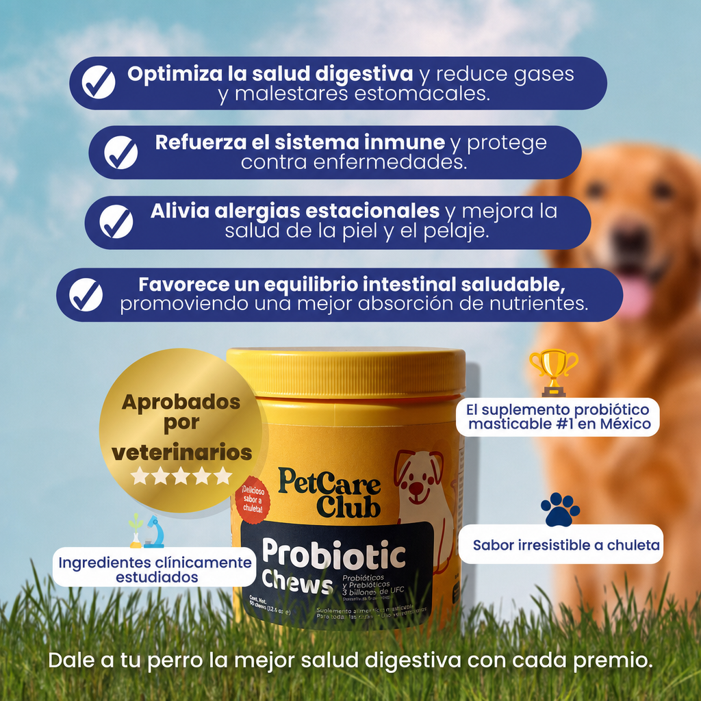 Probiotic Chews – Probióticos y Prebióticos para Perros
