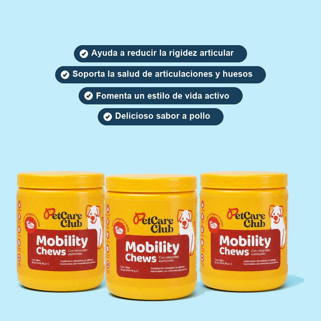 Los 3 botes del programa con sus beneficios